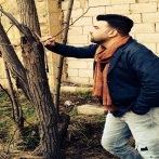 Qaed helmy sur yala.fm